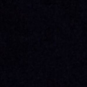 Meet your Posher, Bella